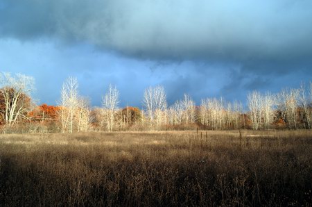 Lakeshore Drive-In Theatre - Ramps - Photo From Water Winter Wonderland (newer photo)